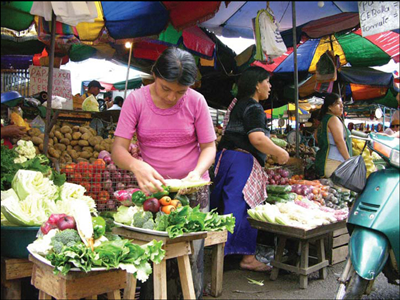 ¿VÍVERES PARA UN AÑO?