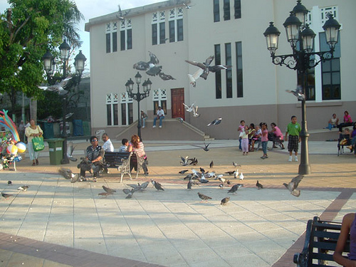 PUERTO PLATA: SUS MALES URBANOS