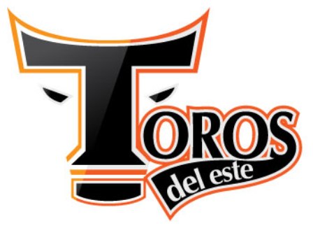 LLUVIAS SUSPENDE PARTIDO BÉISBOL PROFESIONAL TOROS-LEONES