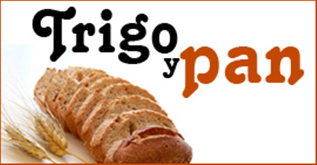 TRIGO Y PAN