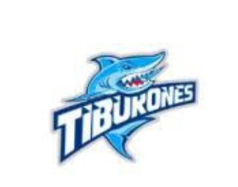 DIRECTIVA TIBURONES DE PUERTO PLATA “NO SE DUERME”; CONTRATA NUEVOS REFUERZOS NORTEAMERICANOS