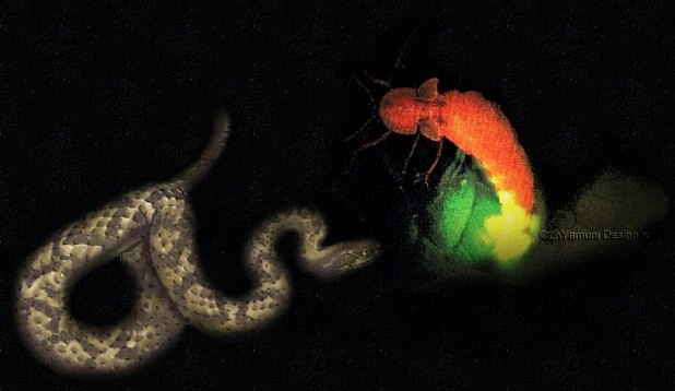 UN VERSO, DOS PARRAFOS  Y UNA FABULA   