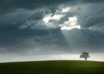 UN CANTO A LA ESPERANZA