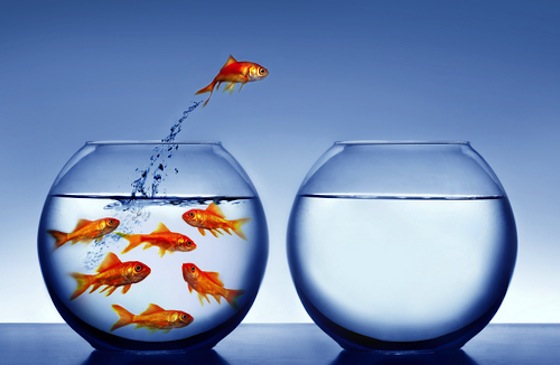 Desafio por puerto plata