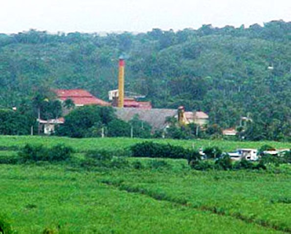 MONTELLANO: Paraíso Vegetal (1 de 6)