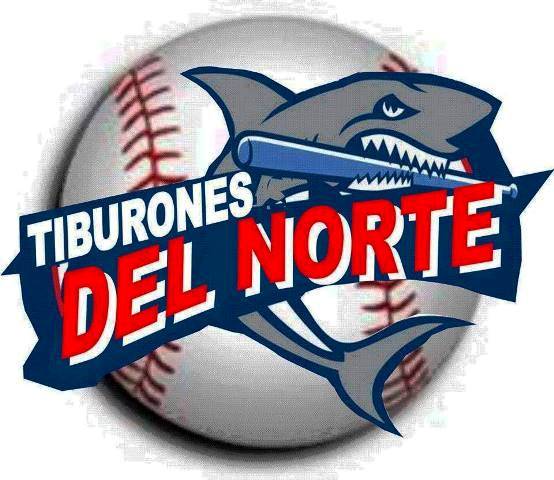 Equipo de Puerto Plata en Liga Béisbol de Verano acaparó lideratos además de clasificar para la final