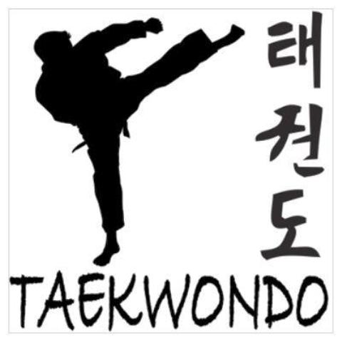 Realizarán éste domingo fogueo de Taekwondo con la participación de atletas universitarios en el polideportivo de Puerto Plata