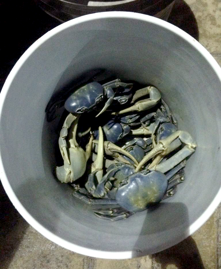 Los Cangrejos de la Cañada