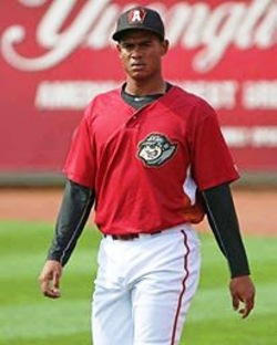 Cinco prospectos puertoplateños estarán disponibles en el venidero draft de la Liga Dominicana de Béisbol