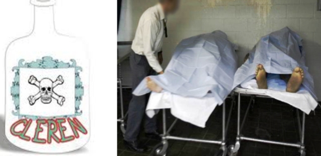 Inacción de autoridades y mortandad por ingesta de clerén