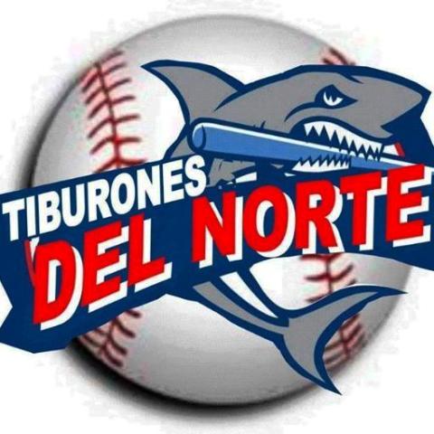 Arranca hoy Liga de Béisbol Profesional Verano en el Cibao, Puerto Plata se mide a Moca