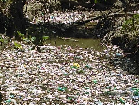 La Puerto Plata que Queremos Limpieza de playas y Cañadas II