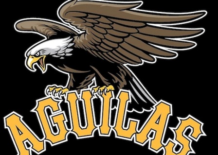 Tras una década de sequía Águilas Cibaeñas conquistan campeonato del béisbol profesional dominicano