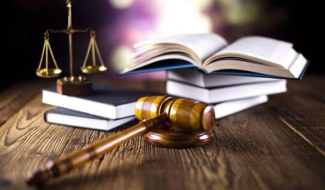 El año de lucha contra la mora judicial