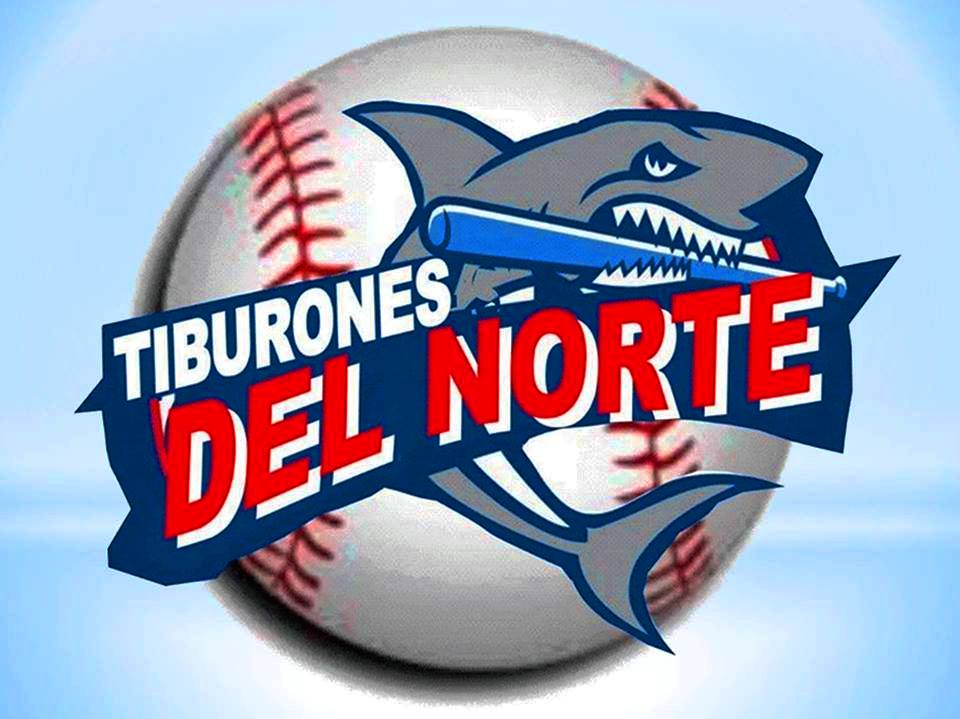 Descalifican al equipo Tiburones del Norte en actual campeonato Liga béisbol profesional de verano