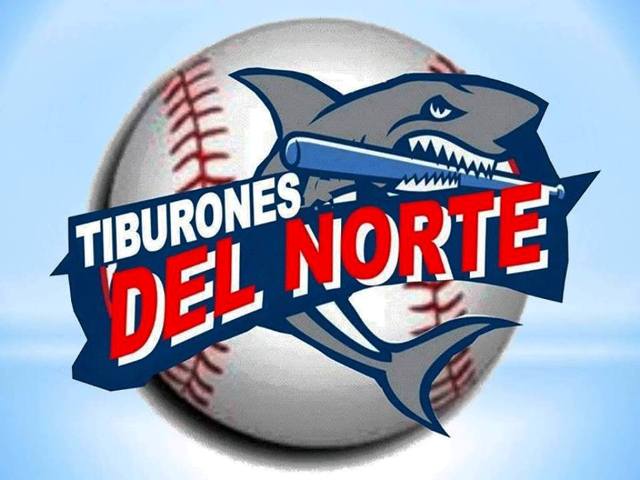 Comienza este viernes en Puerto Plata béisbol profesional de verano con partido entre Tiburones del Norte y Andulleros de Cienfuegos
