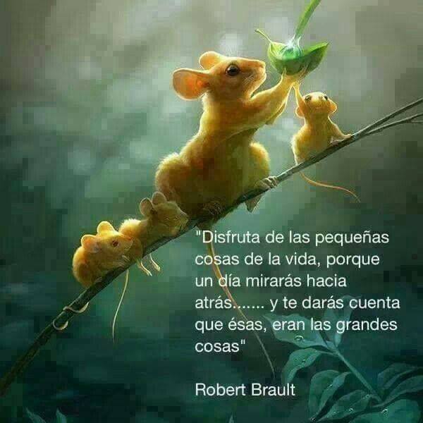 Vida… ¿La disfruta?