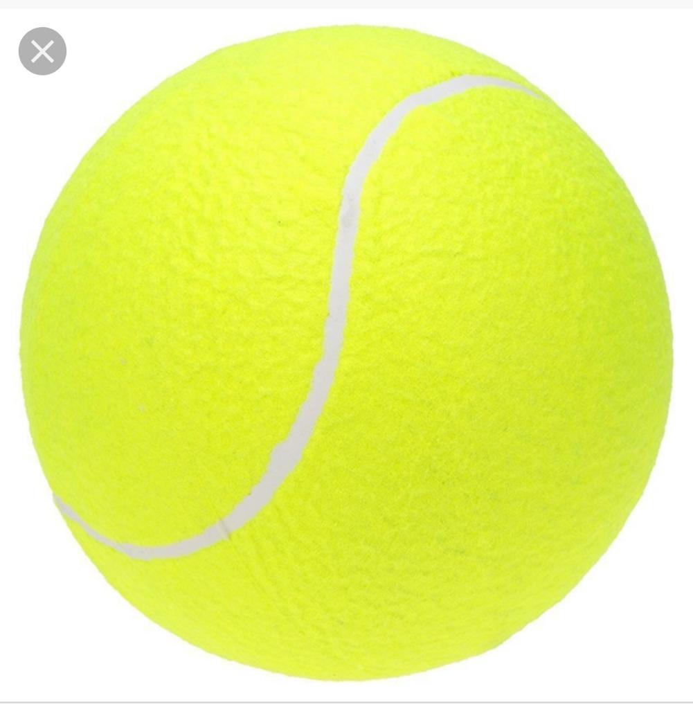 Jugadores de tenis de Puerto Plata realizan reunión de trabajo