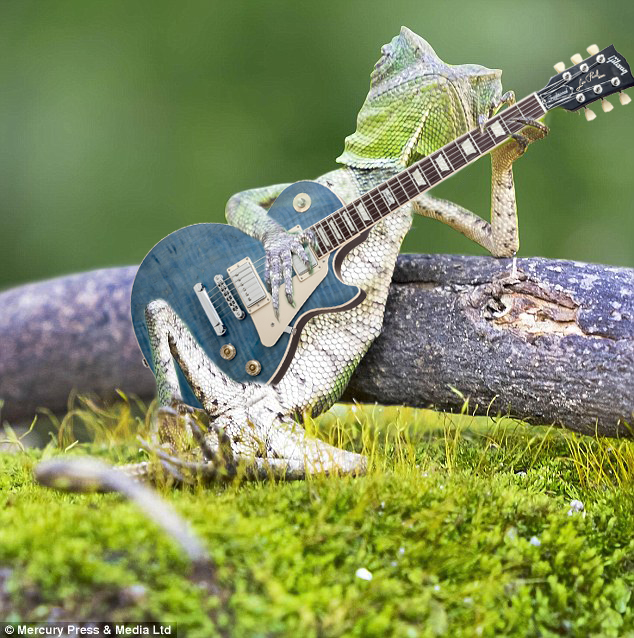 Cucú, Cantaba la Rana