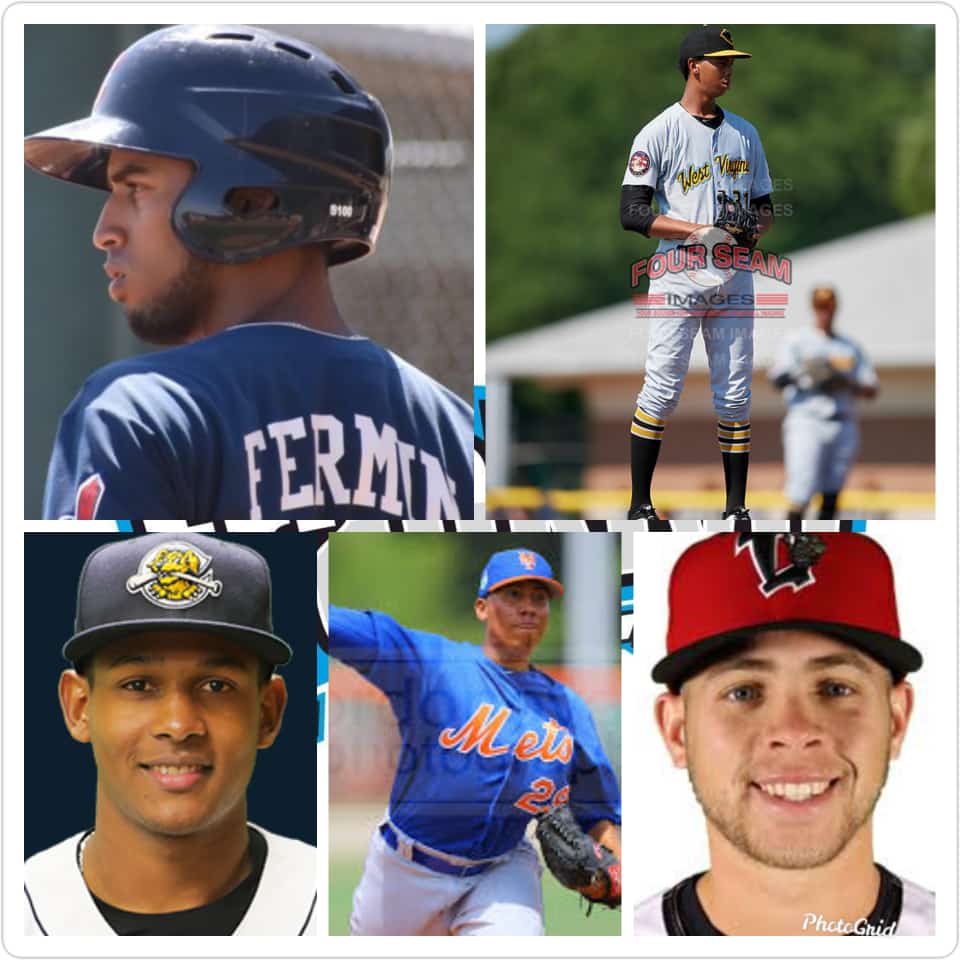 Equipos de la pelota criolla escogen a 5 peloteros nativos de Puerto Plata en el Draft 2019 de la LIDOM