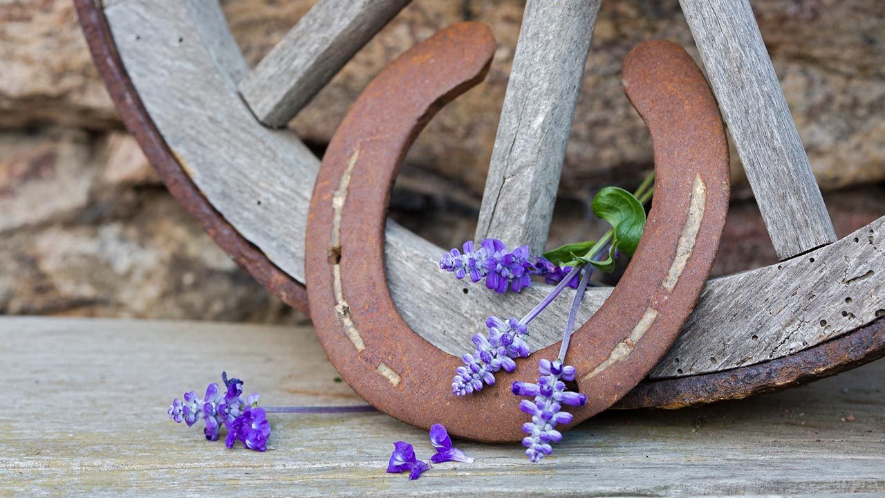¡Salud y mucha suerte!