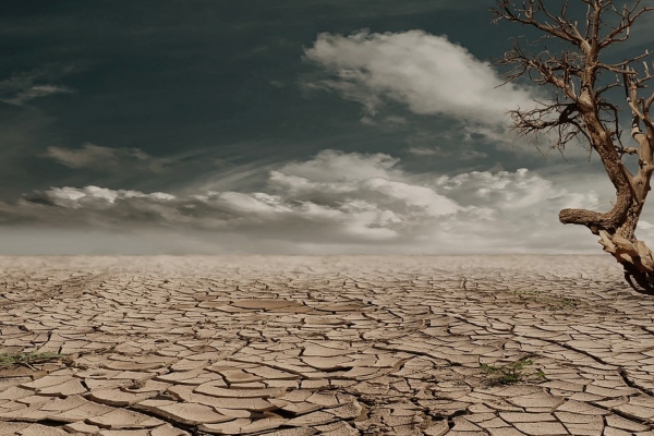 A las puertas de la extinción humana