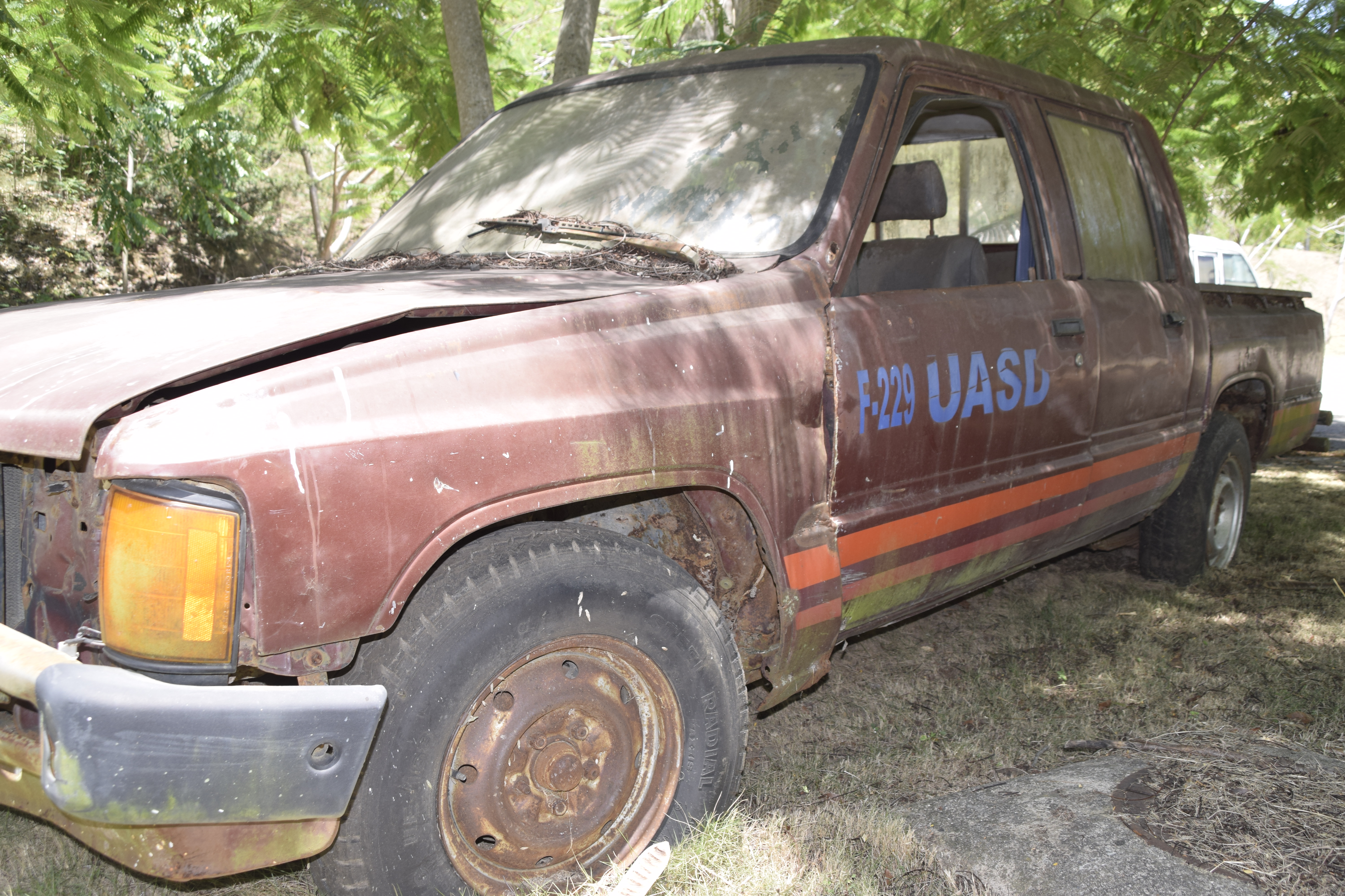 Ella Nunca Fue de Nadie