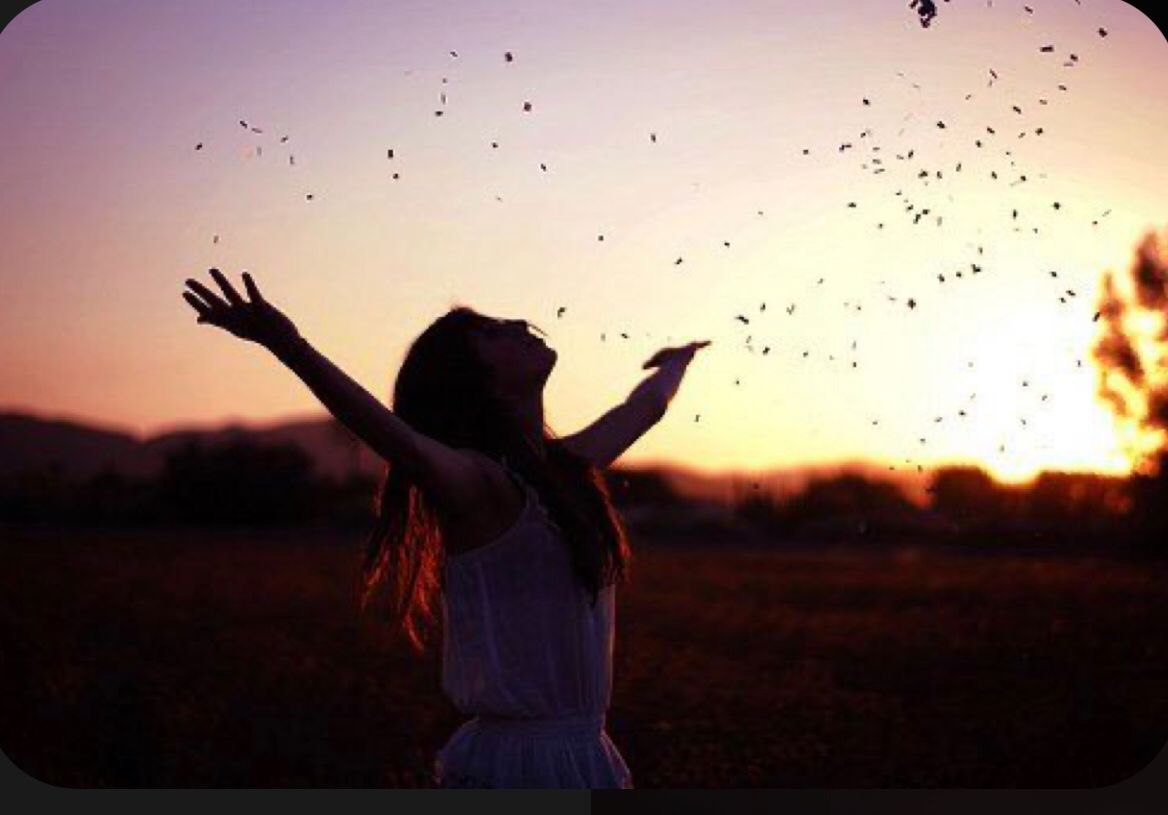 El poder de ser agradecidos. 