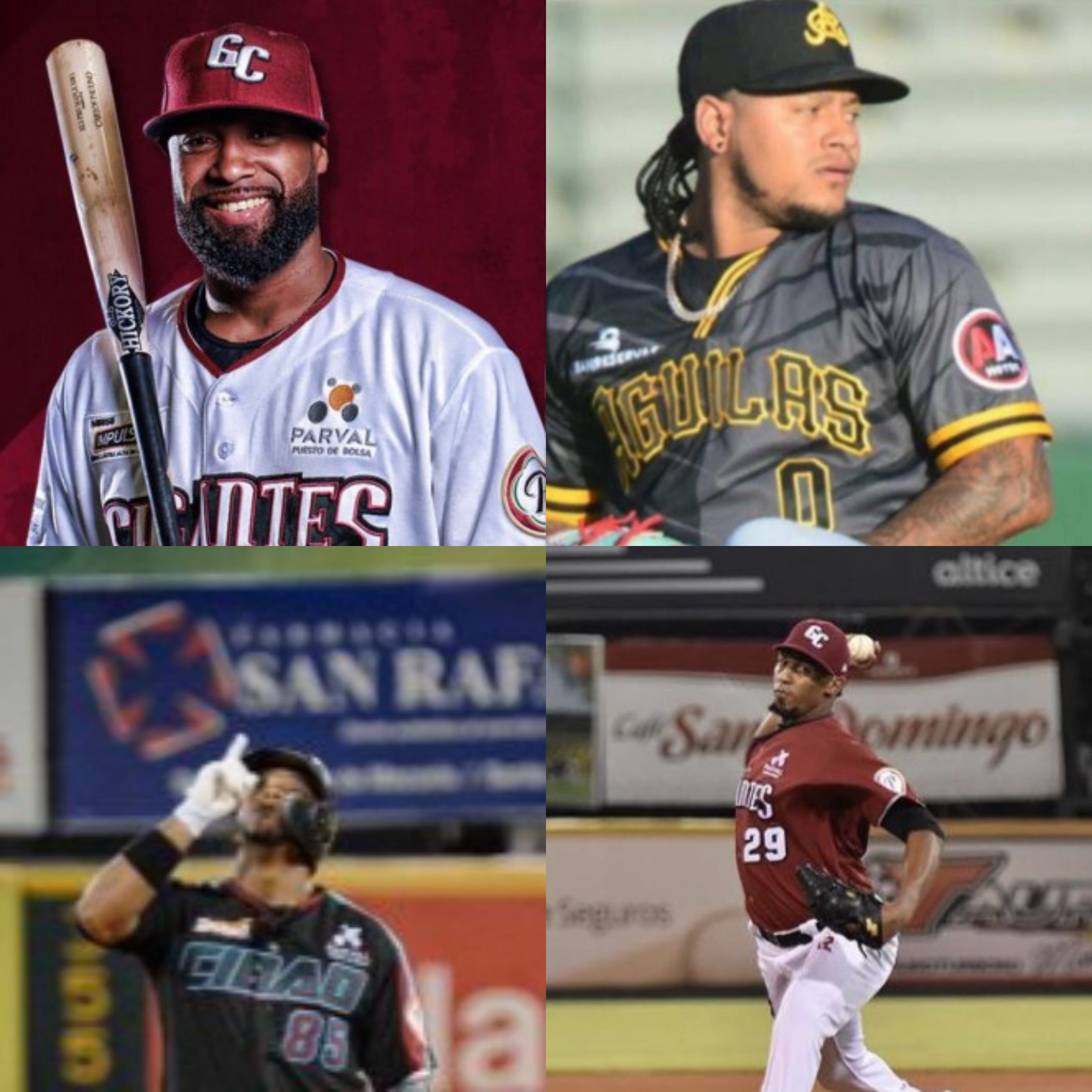 Cinco peloteros puertoplateños vieron acción en Serie Final del béisbol dominicano con Águilas y Gigantes