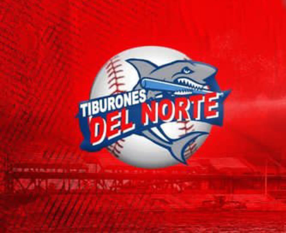 Tiburones del Norte derrotan a Mineros de Bonao en inicio Liga de Béisbol de Verano 