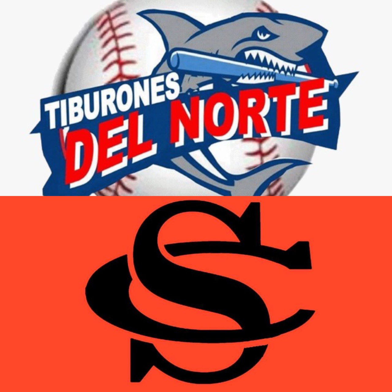 Equipos Tiburones del Norte y Caballeros de Santiago realizan trueque de dos jugadores
