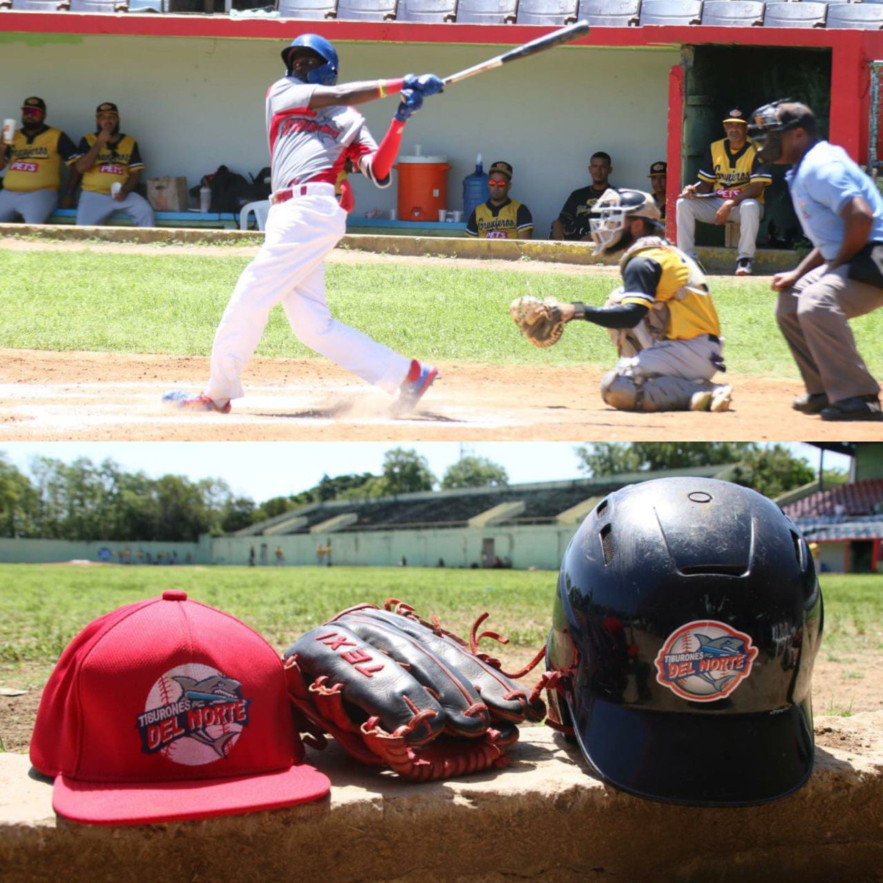 Granjeros de Moca siguen invictos en LIDOVE tras ganarle a domicilio a Tiburones del Norte