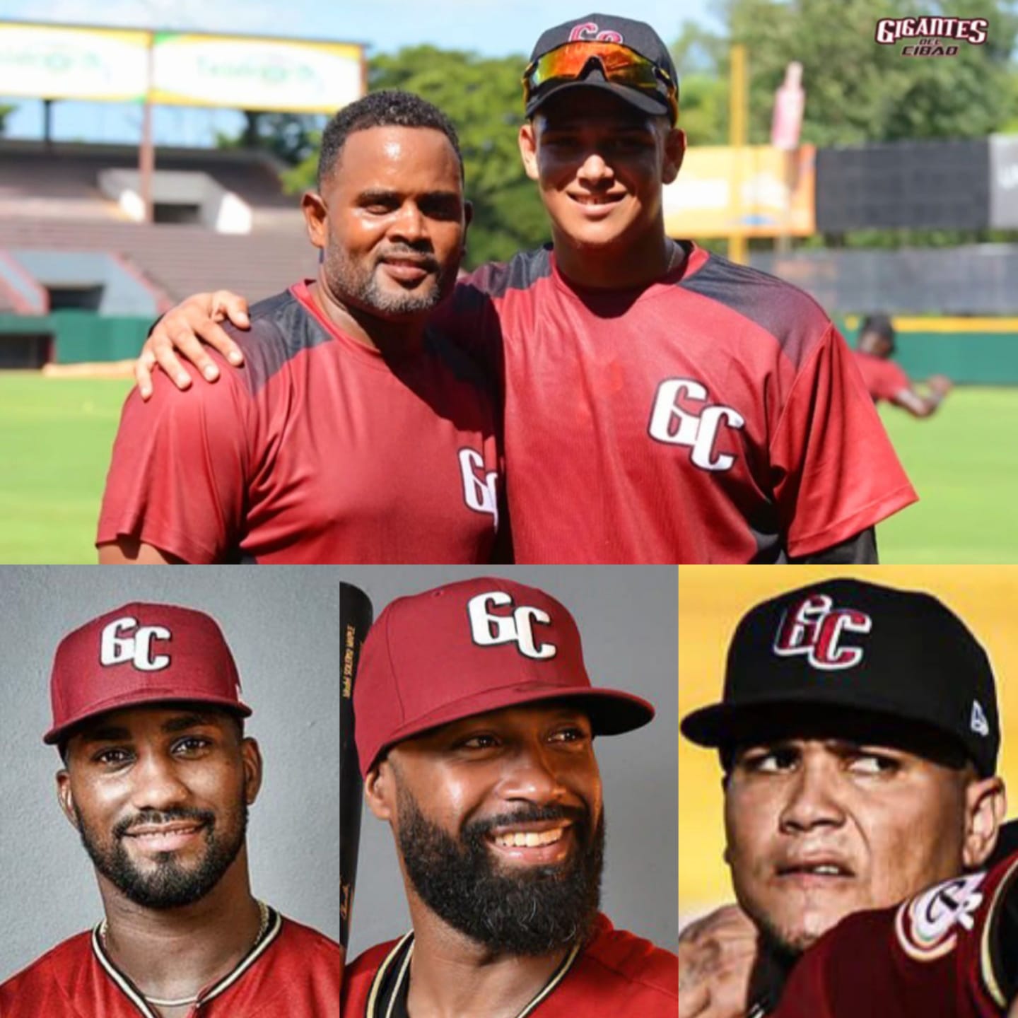 Varios peloteros nativos de Puerto Plata conforman róster del equipo Gigantes del Cibao 