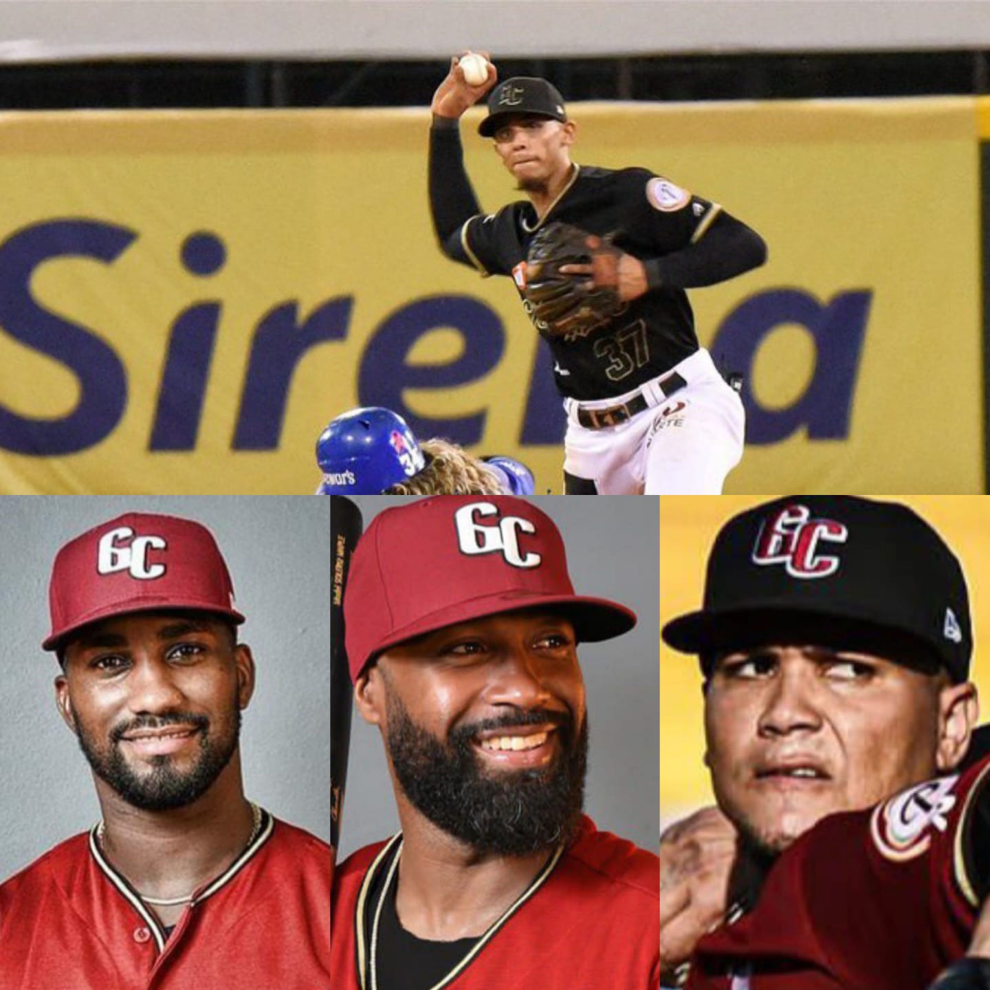 Destacan peloteros de Puerto Plata han sido “bujías inspiradoras” para equipo Gigantes del Cibao en la pelota criolla