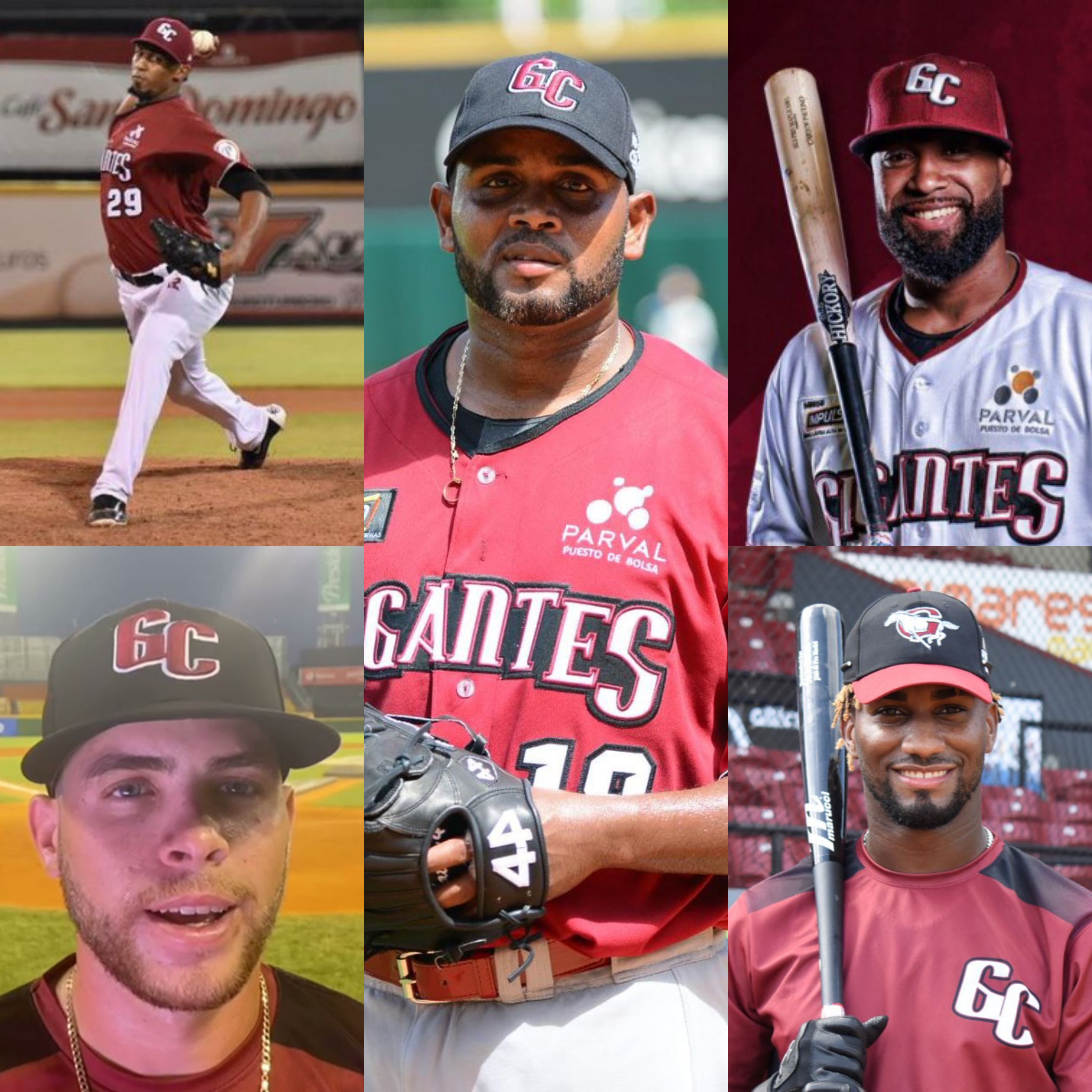 Cinco peloteros de Puerto Plata integran roster equipo Gigantes del Cibao en Serie Final pelota criolla