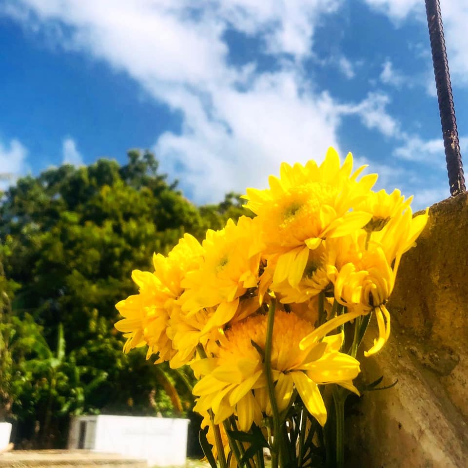 Hoy mientras le llevaba flores a mi mamá por su cumpleaños. 