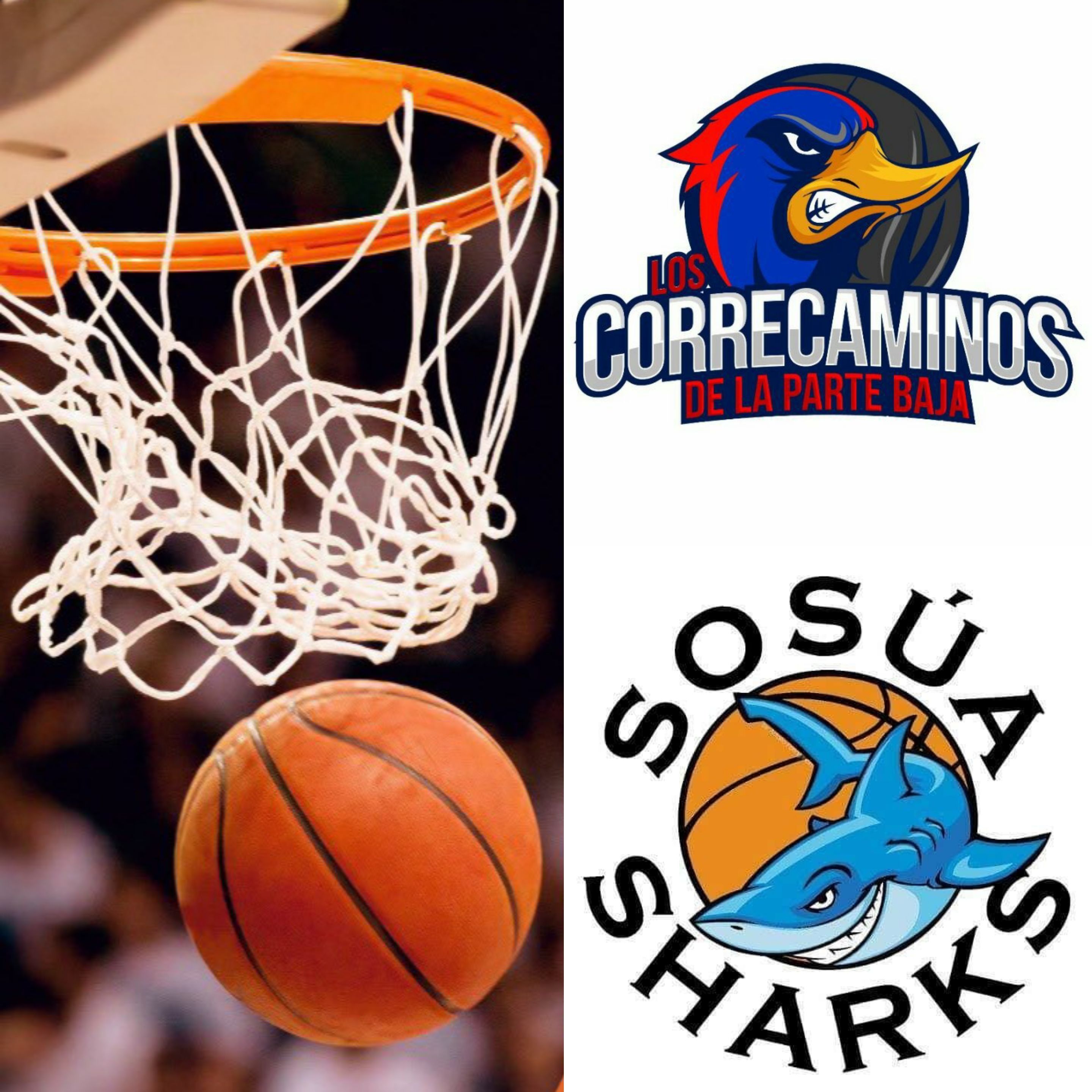Correcaminos de la Parte Baja y Sosúa Sharks se medirán en serie final Torneo Baloncesto Superior de Puerto Plata