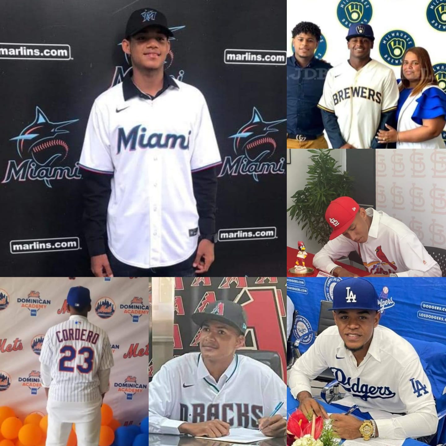 Equipos de MLB firman como peloteros profesionales a más de siete prospectos puertoplateños 