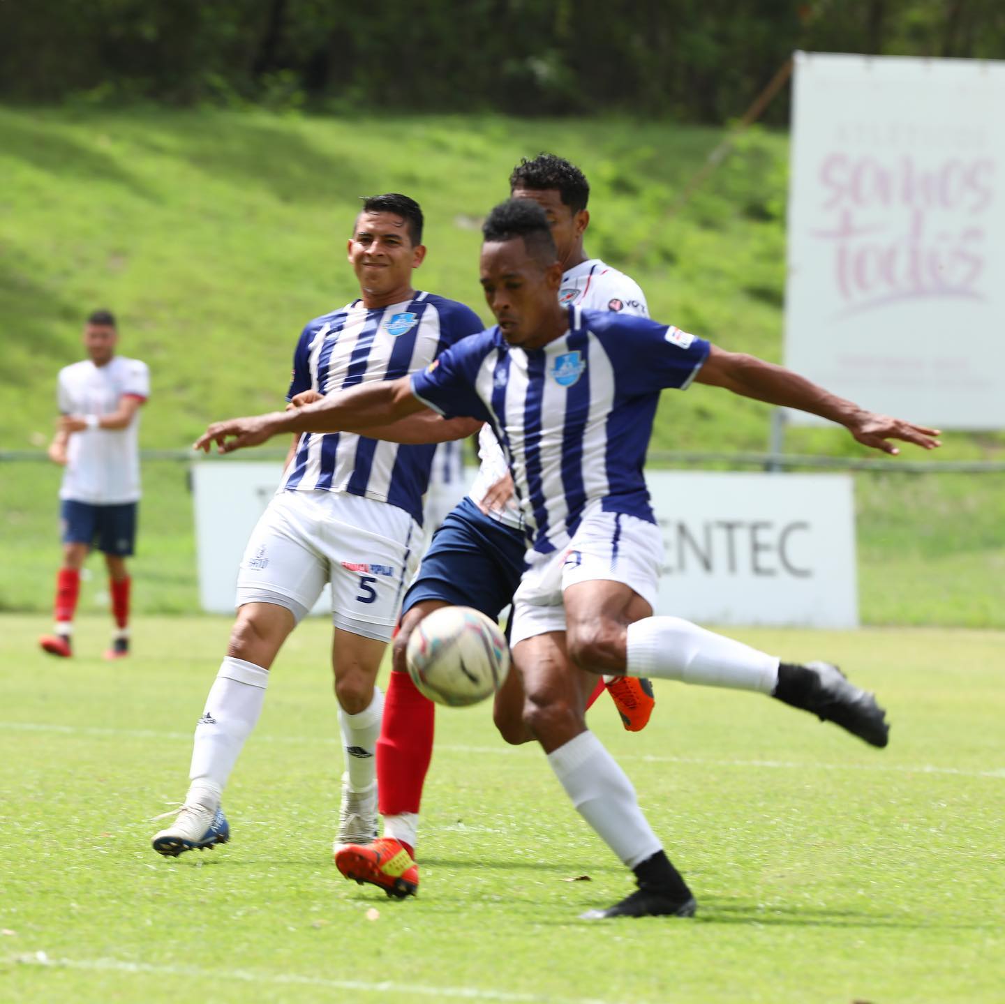 Atlántico Fútbol Club decidido a recuperar su espacio en la LDF 2023