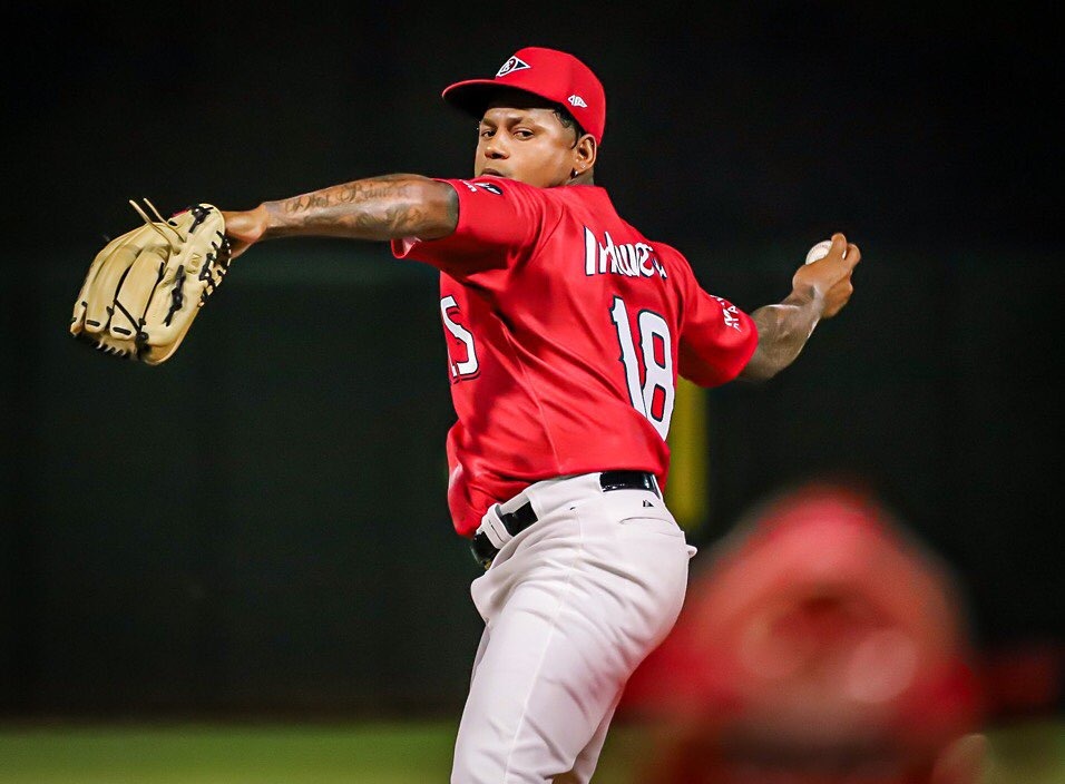 Peloteros puertoplateños se destacan con equipo Leones del Escogido