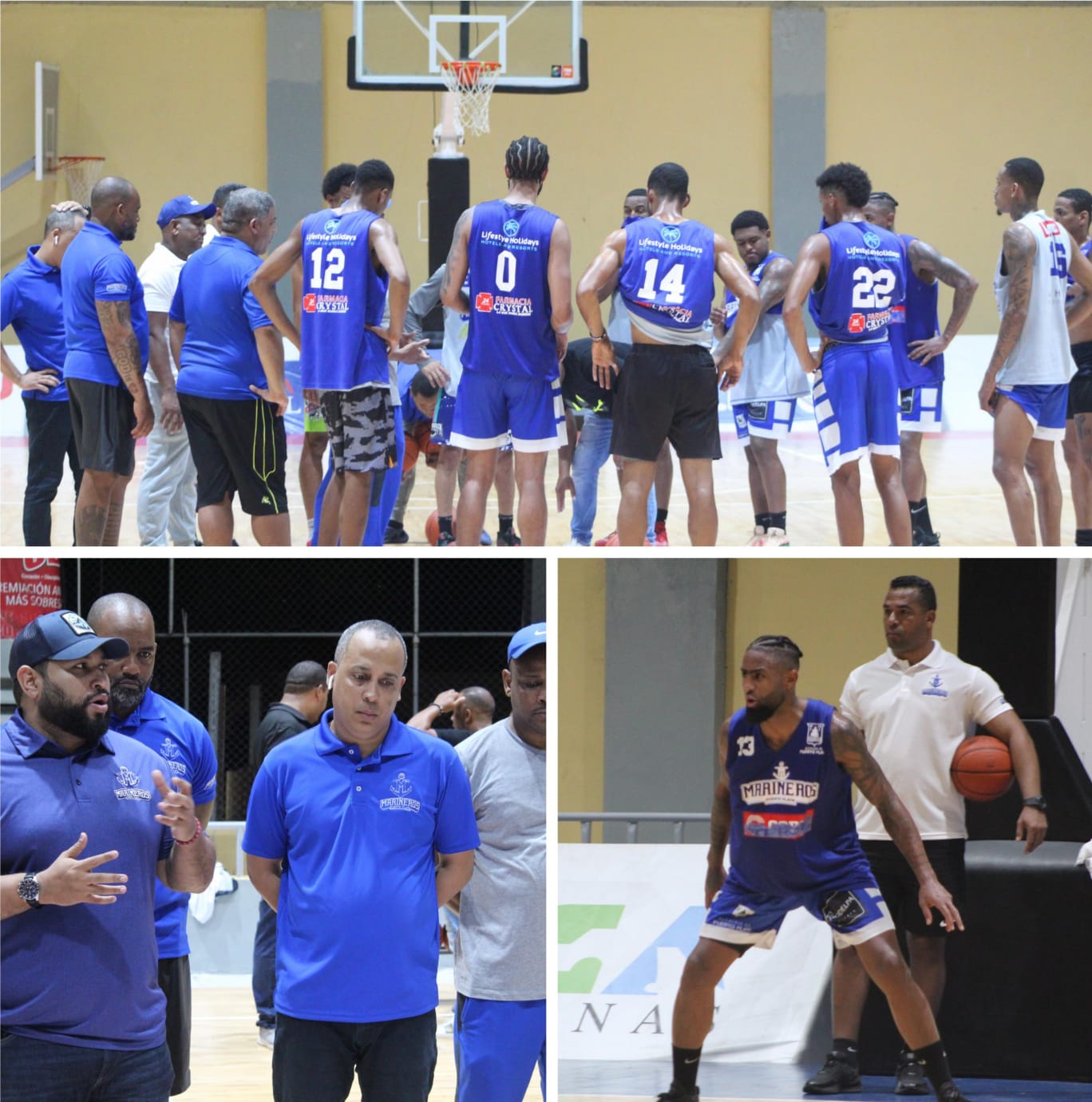  Arrancan con buenas vibras entrenamientos del equipo Marineros de Puerto Plata  