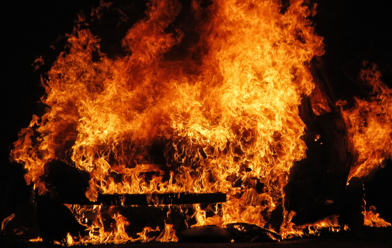 Pregúntale a Canela sobre seguros  