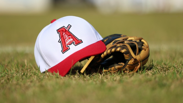     Atléticos de Puerto Plata disputarán corona 2025 Liga Nacional de Béisbol de Verano con Mineros de Bonao  