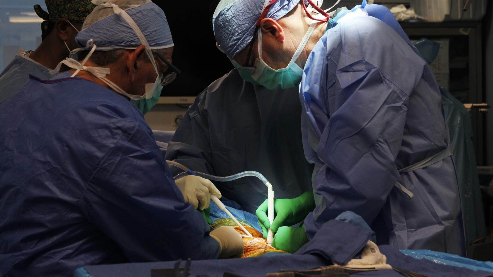 Once pacientes recuperan movilidad gracias a jornada solidaria de reemplazo de rodilla en Clínica Universitaria Unión Médica del Norte