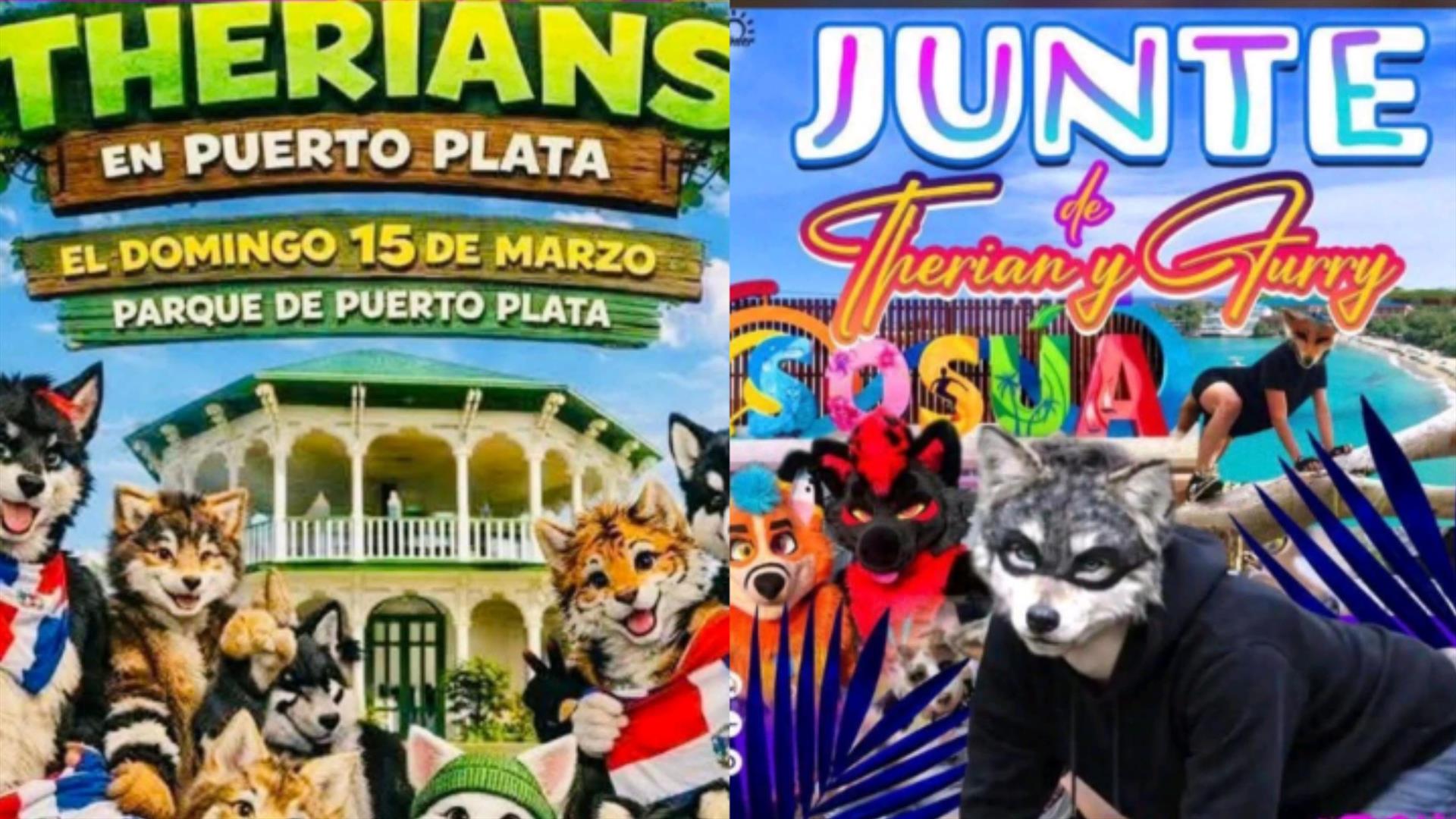 Autoridades niegan permiso a promotores de encuentros de “Therians” y “Furry” en San Felipe de Puerto Plata y Sosúa