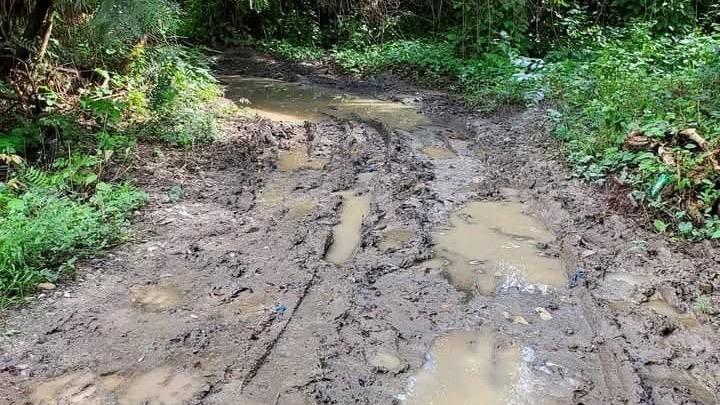 Carretera hacia Loma de La Bestia se encuentra en estado deplorable