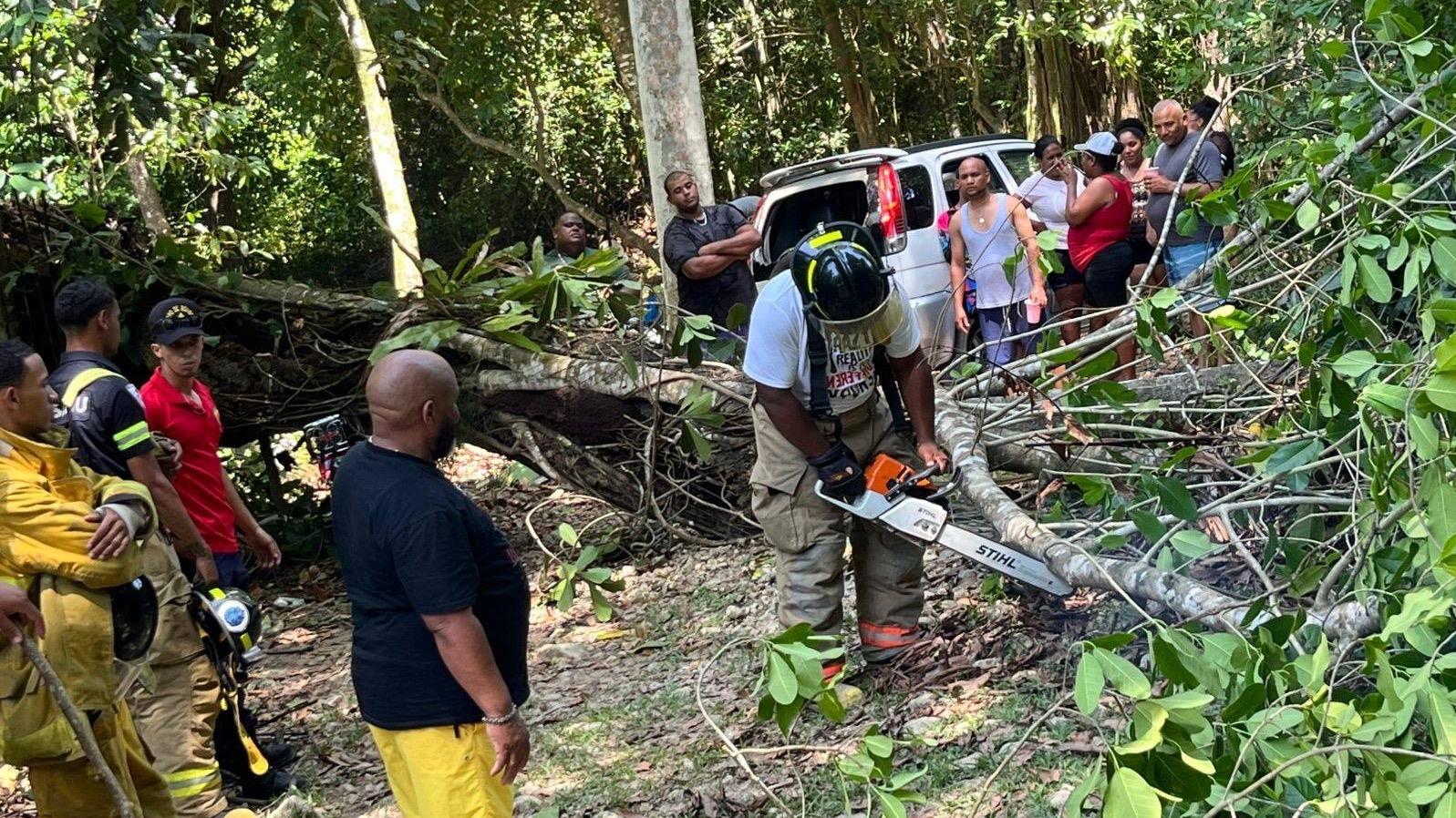 Árbol cae sobre estación de bombeo de acueducto en Bella Vista de Sosúa y provoca daños materiales